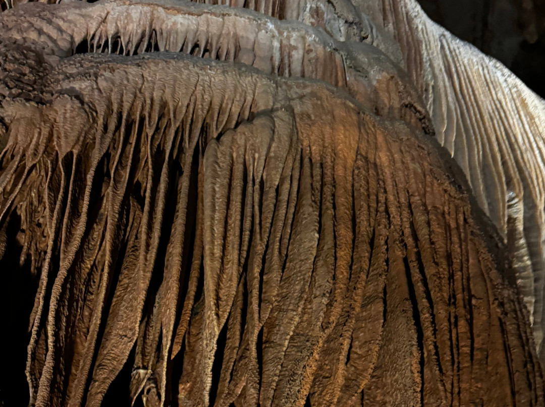 Talking Rocks Cavern-Branson West必去景点