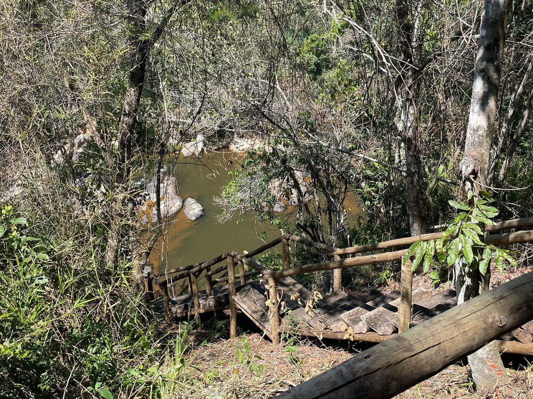 Parque Estadual Mata do Limoeiro景点图片