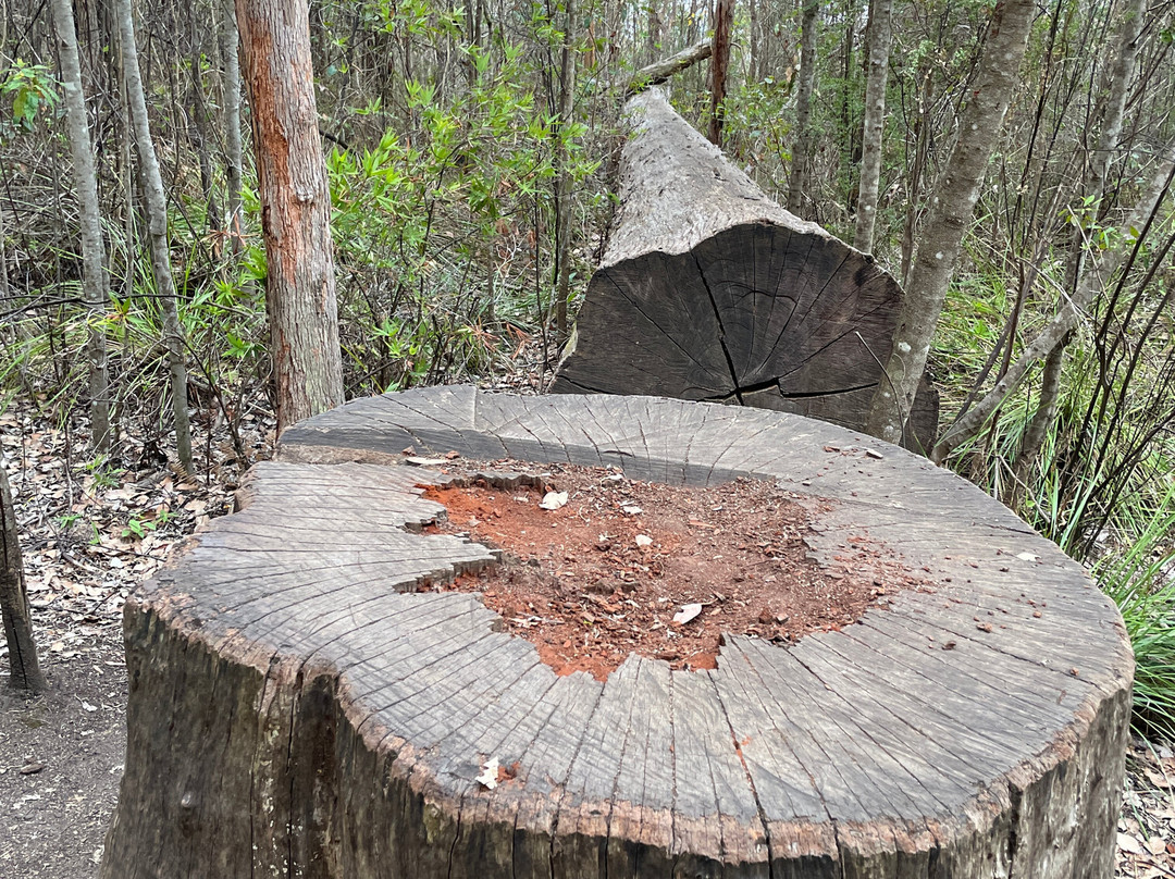 Castle Rock-Porongurup National Park必去景点