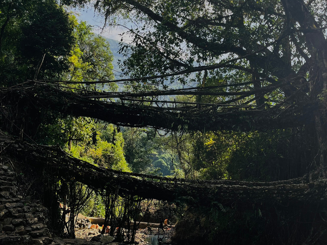 Hip-hip Holidays-Asalat Nagar必去景点