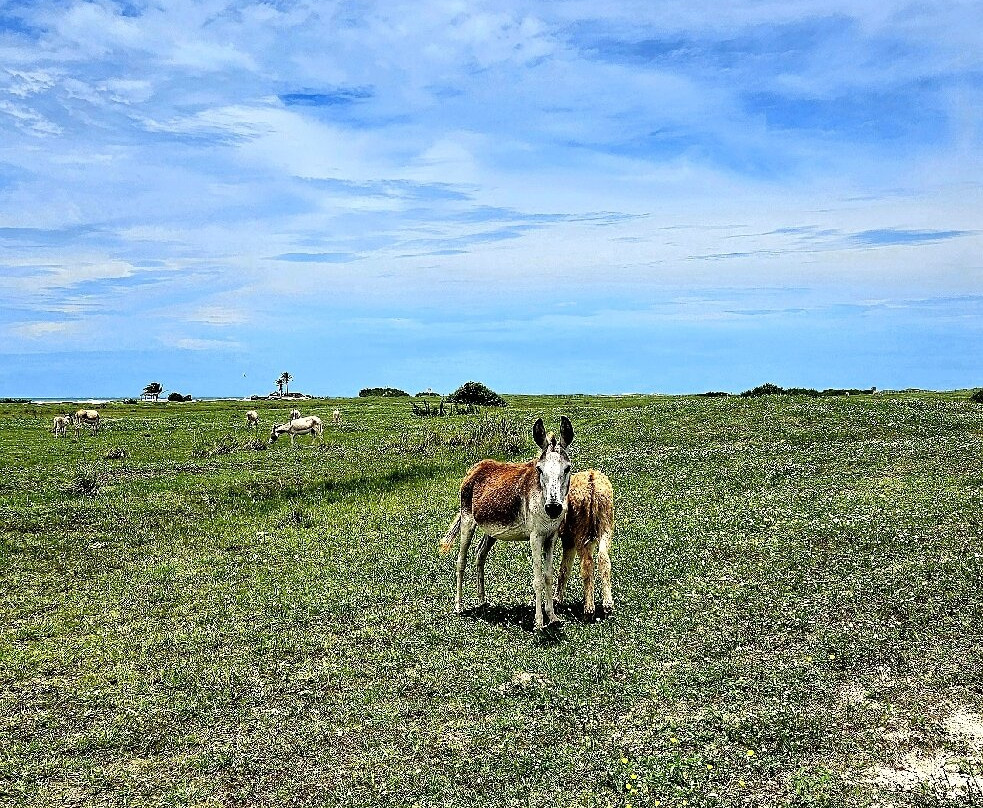 Pedra Rachada Beach-Paracuru必去景点