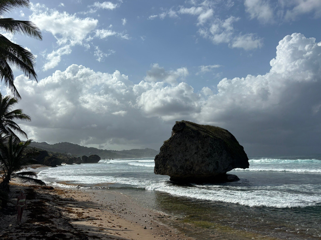 Ted's Tours-Hastings必去景点