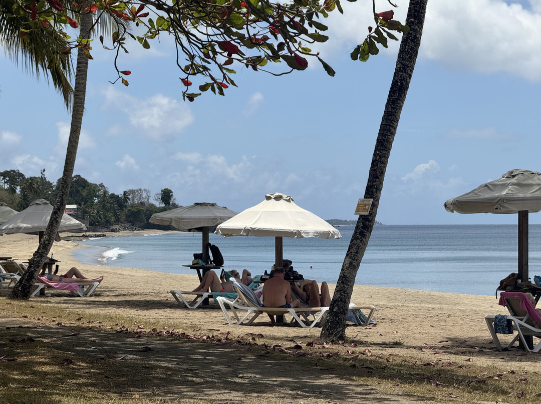 Starfish Tobago Resort主图