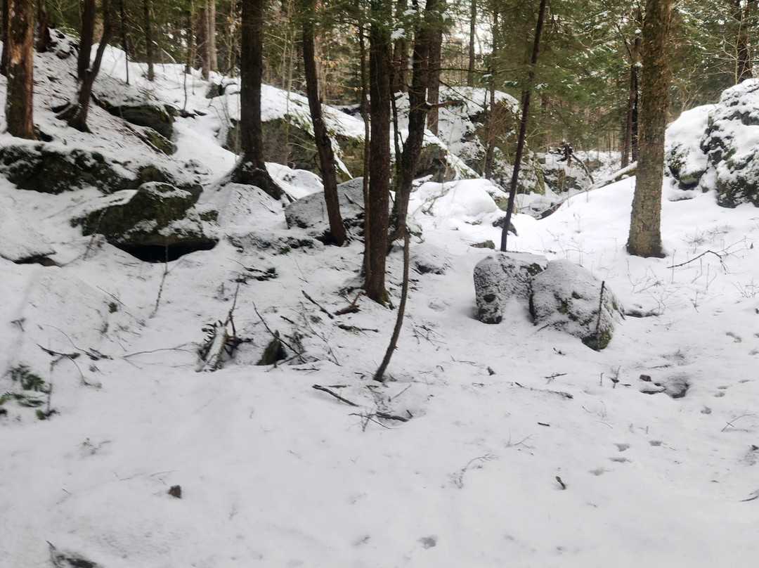 Auger Falls-Wells必去景点