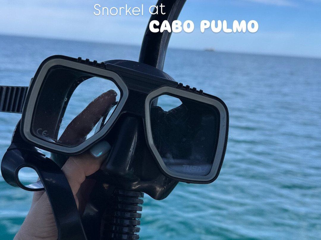 Cabo Pulmo Sport Center-Cabo Pulmo必去景点