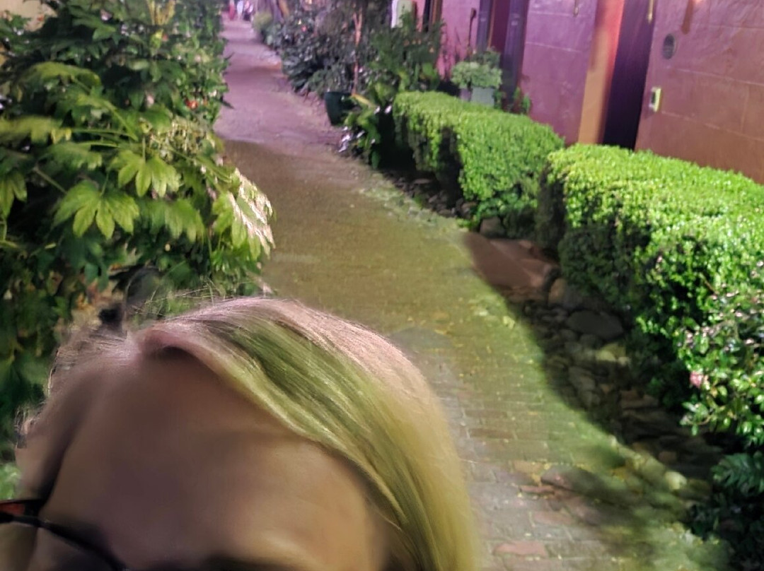 Philadelphia Alley-查尔斯顿必去景点