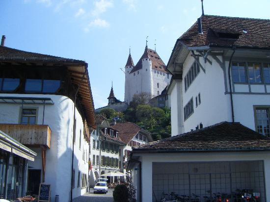 Zunfthaus zu Metzgern主图