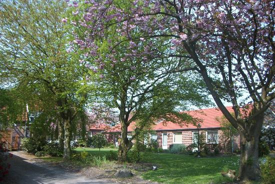 Landhotel Oltmanns主图