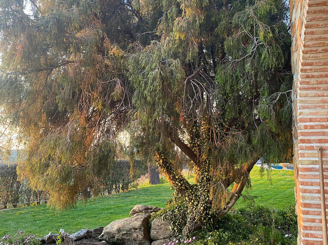 El Cigarral del Pintor主图