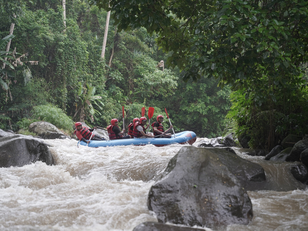 Pandora Bali Rafting景点图片