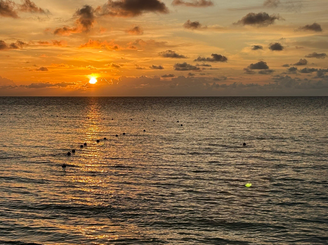 Selingan Turtle Island主图