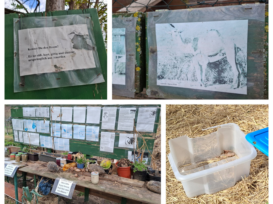 Naturerlebniszentrum Elbepark Hebelei - Tierpark Hebelei-Diera-Zehren必去景点