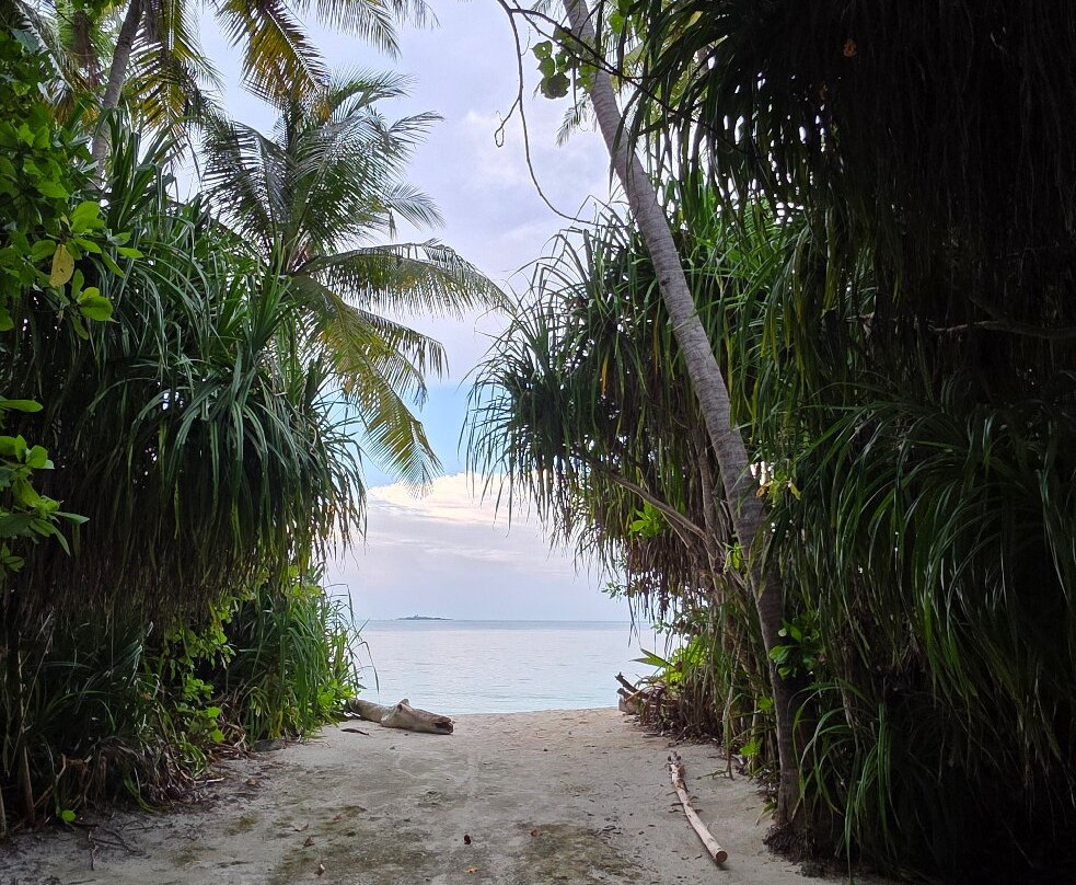 Local Travel Beach主图