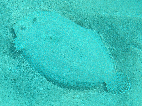 Makai Expeditions-考普雷必去景点