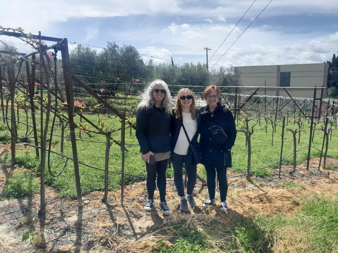 Fournarakis Winery-Episkopi必去景点