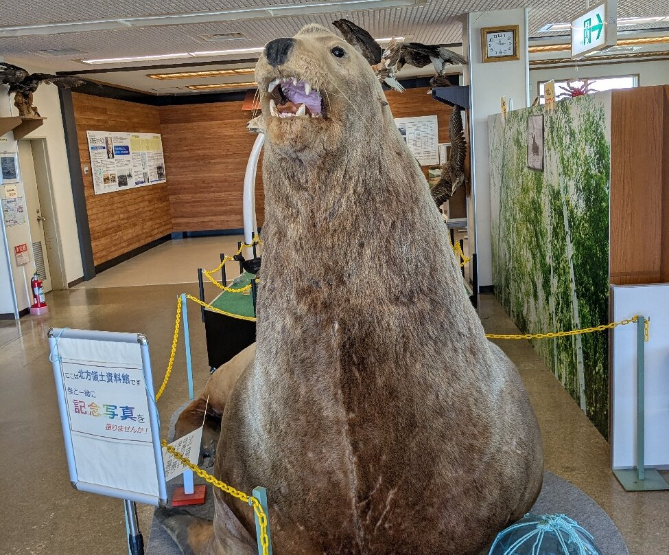 Nemuro City Hoppo Ryodo Museum-根室市必去景点