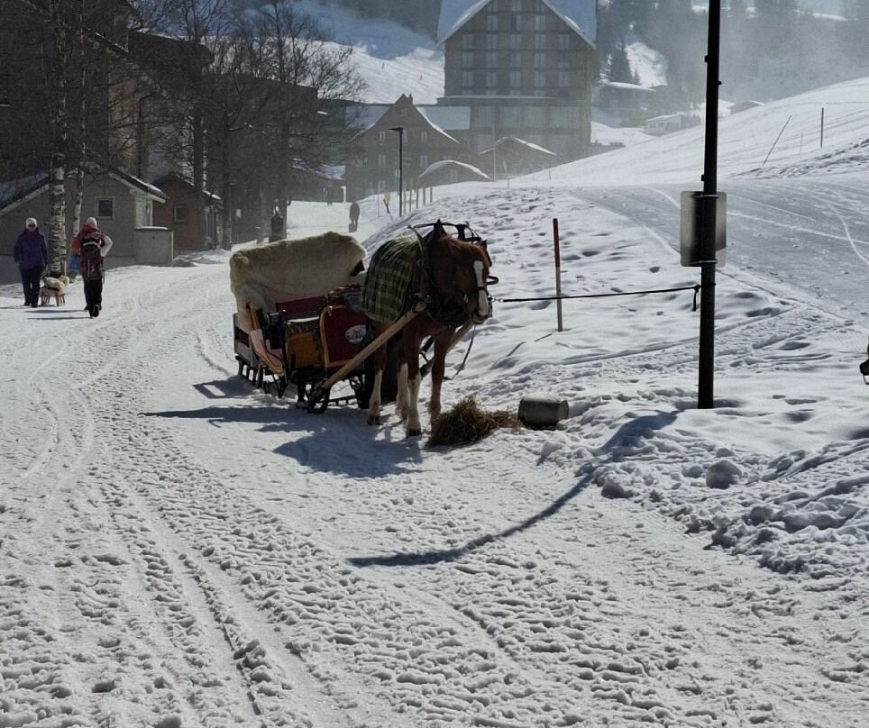 Stoosbahnen AG-Stoos必去景点