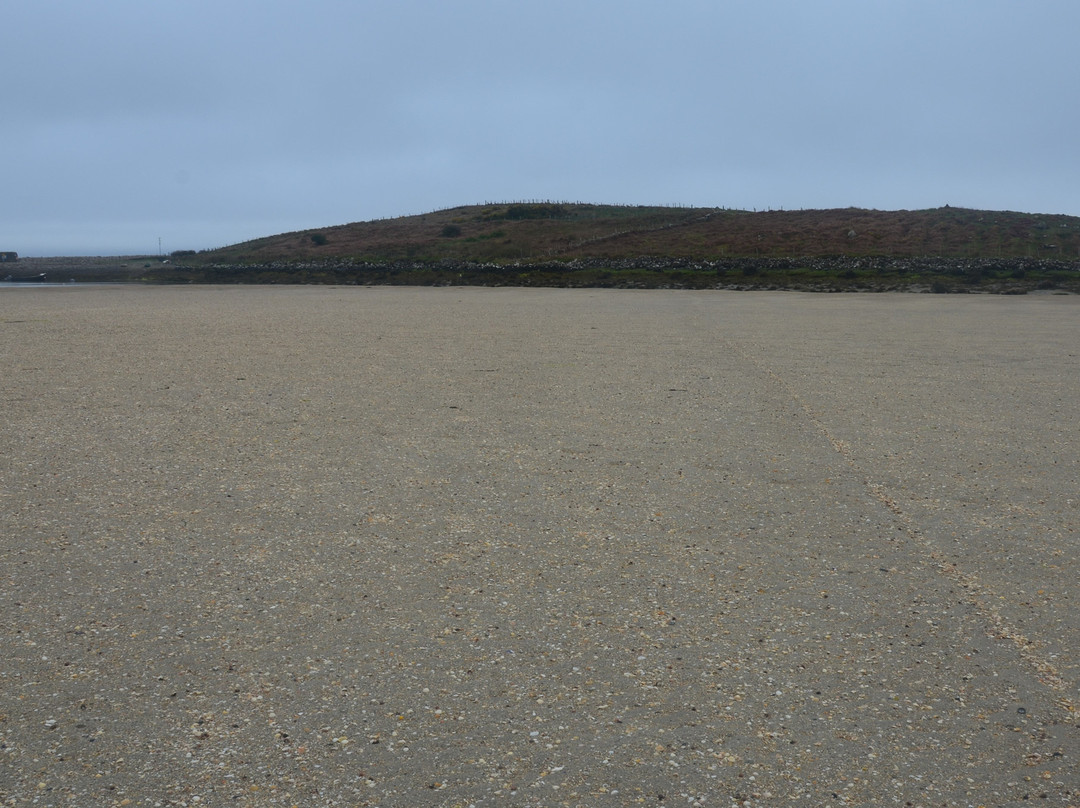 Mulranny Saltmarsh-Mulranny必去景点