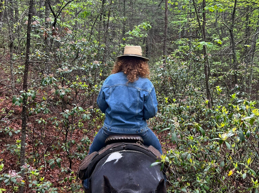 Appalachian Horse Adventures-温泉村必去景点