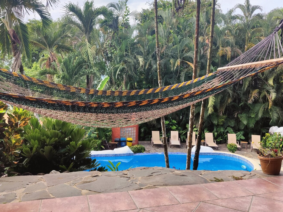 Hotel El Jardin主图