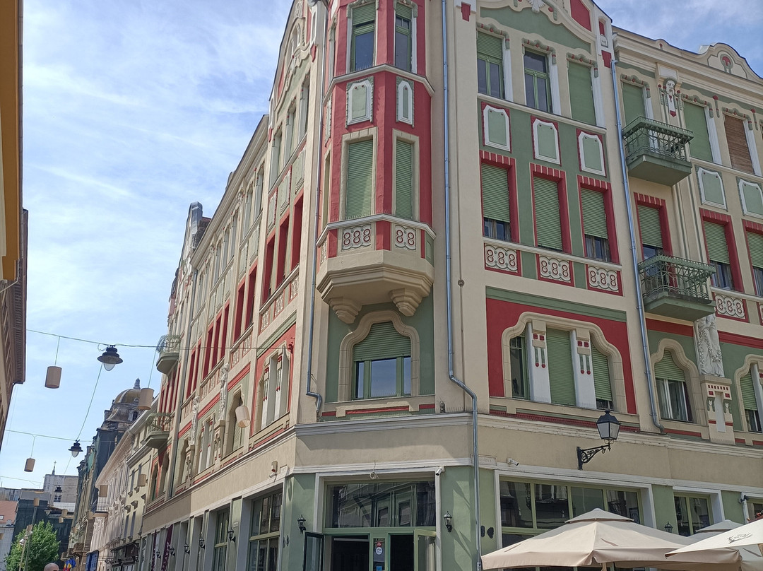 Timisoara Tour Guide景点图片