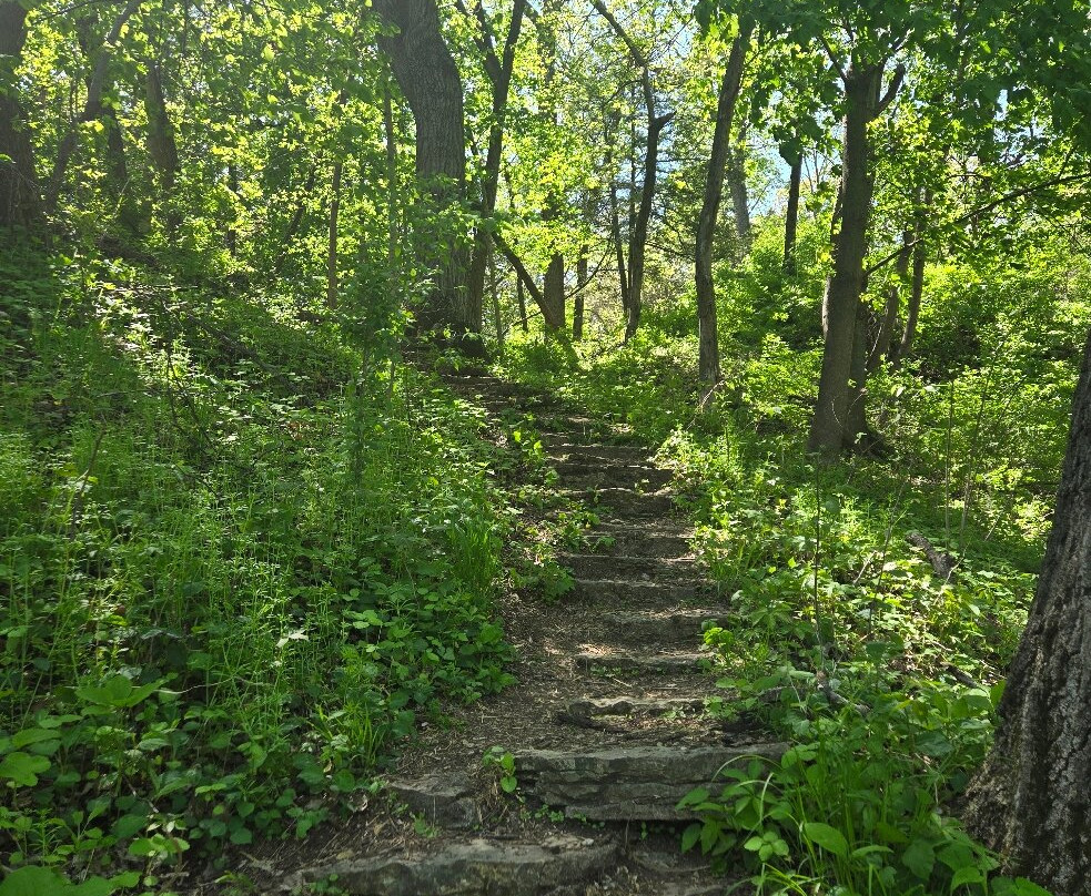 Krape Park-弗里波特必去景点