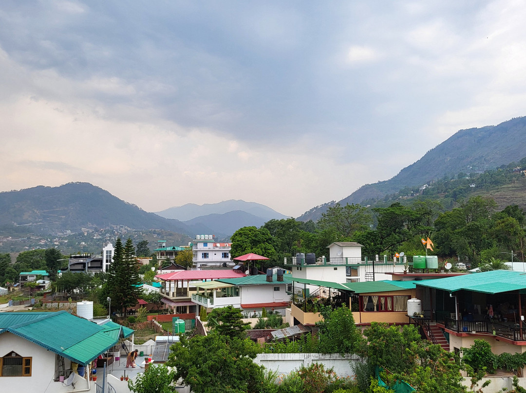 Hotel Spring Birds主图