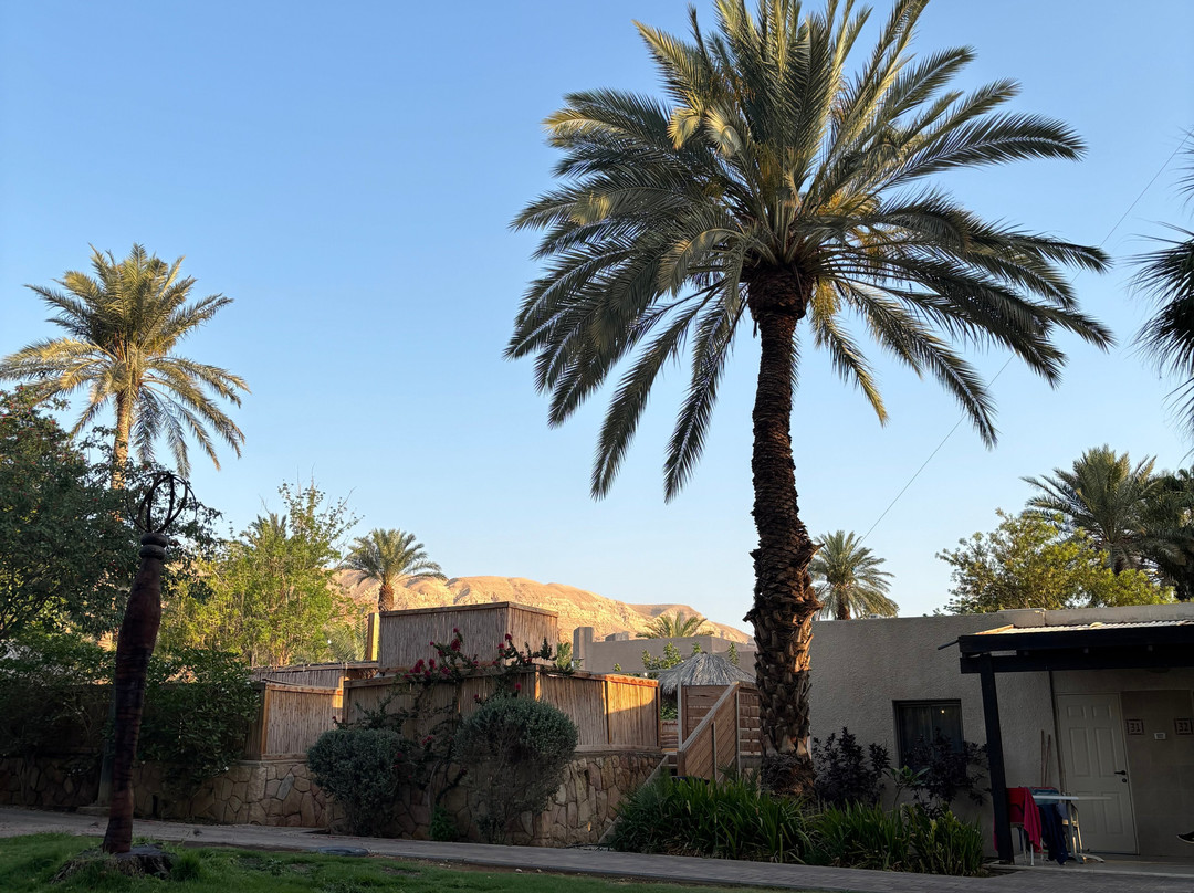 Kalia Kibbutz Hotel主图