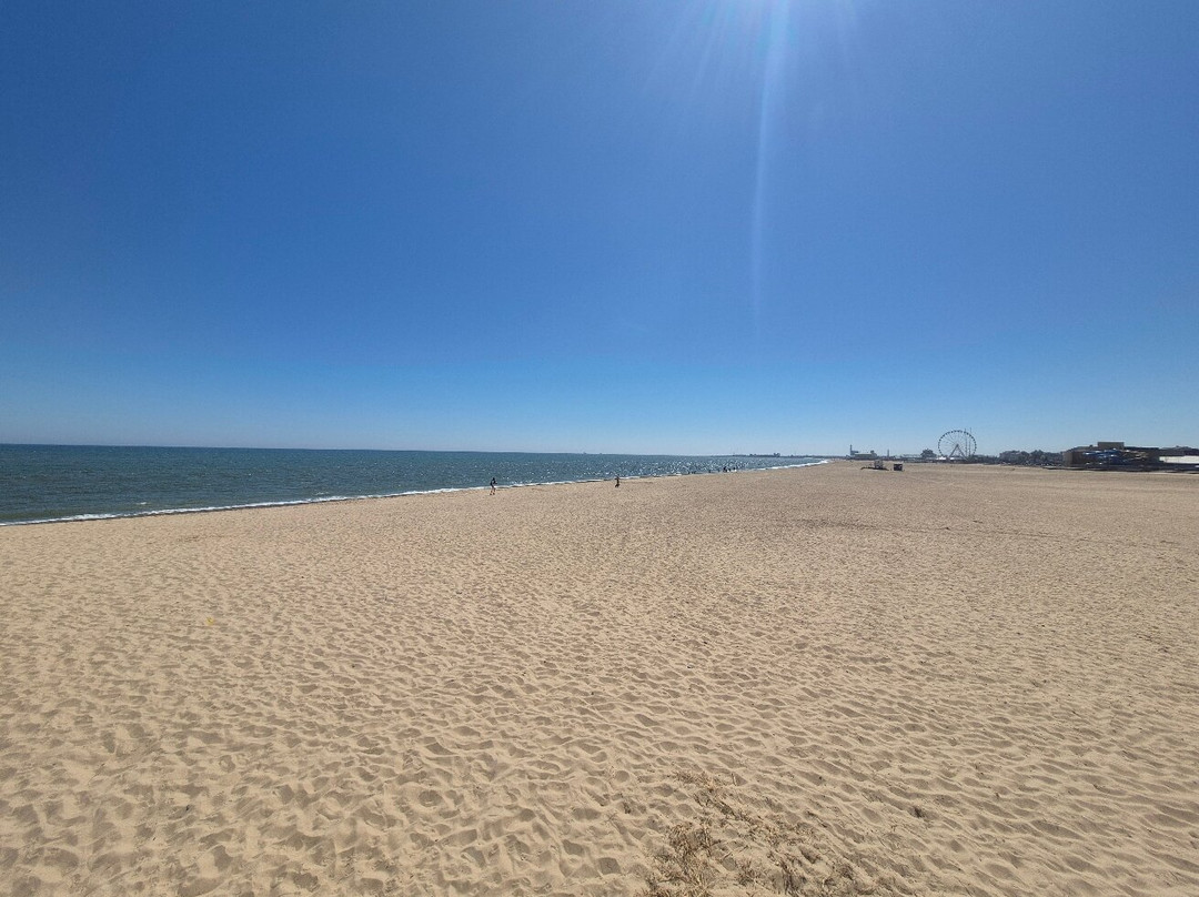 Britannia Pier-大雅茅斯必去景点