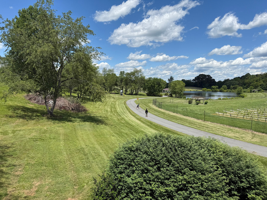 Narmada Winery-Amissville必去景点