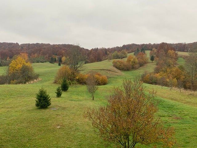 里卡别墅酒店主图