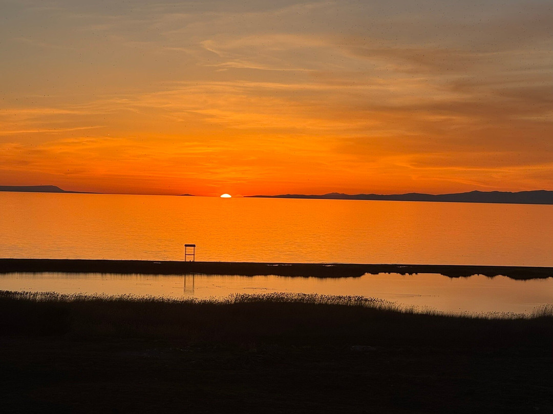 DoubleTree by Hilton Hotel Van主图