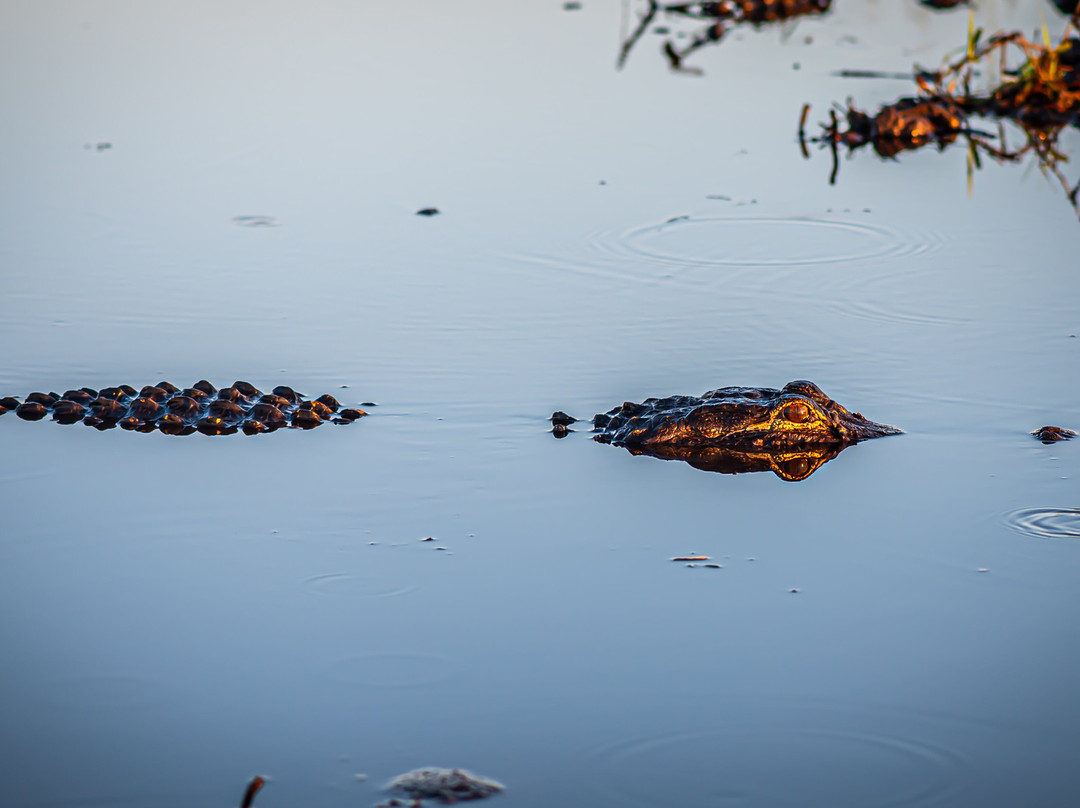 Everglades Airboat Excursions-Tamarac必去景点