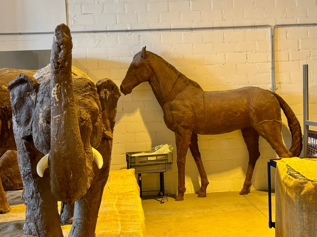 P&J Chocolate Factory Bruges-泽布鲁日必去景点