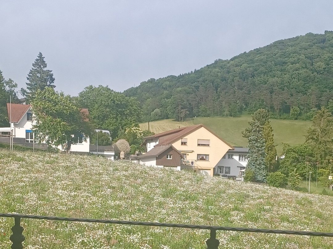 Romana B&B, Restaurant & Pizzeria主图