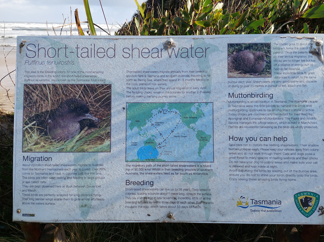 Ocean Beach-斯特拉恩必去景点