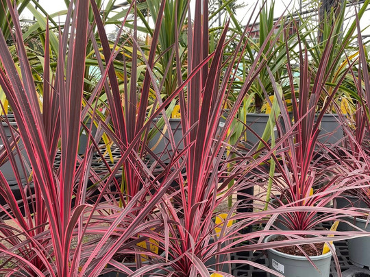 High Trees Garden Centre-East Carlton必去景点