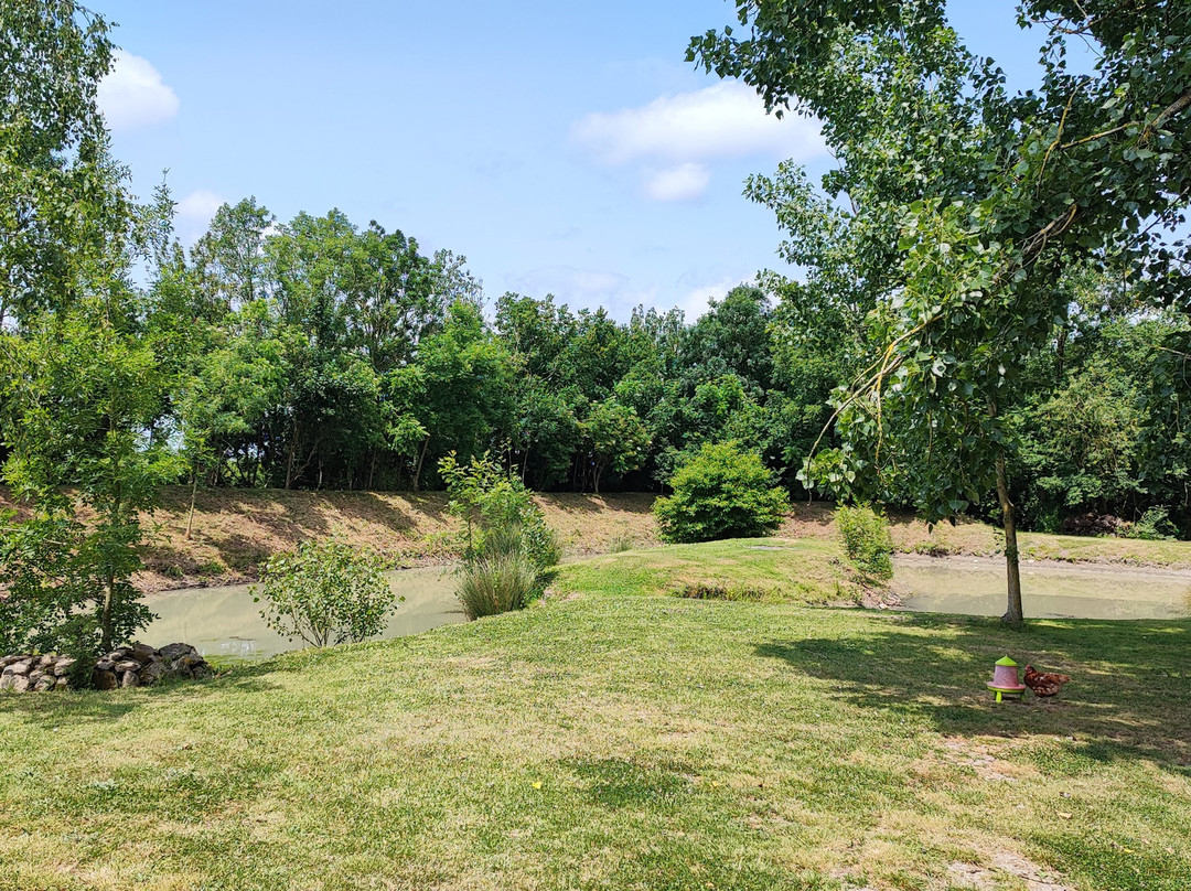 Au Clos Des Templiers主图