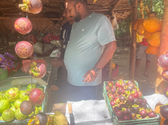 Rukshan Sri Lanka Tours & Travels-康提必去景点