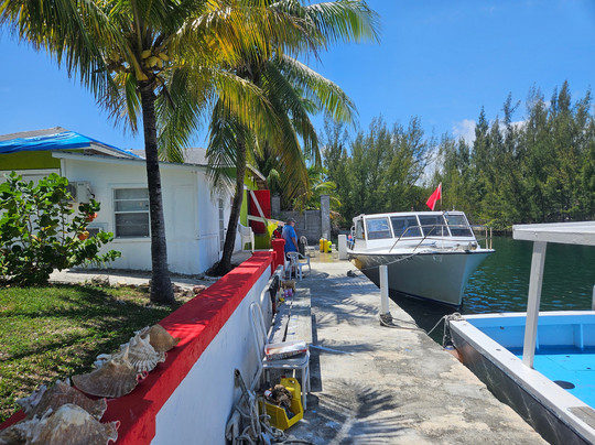 Sunn Odyssey Divers-弗里波特必去景点