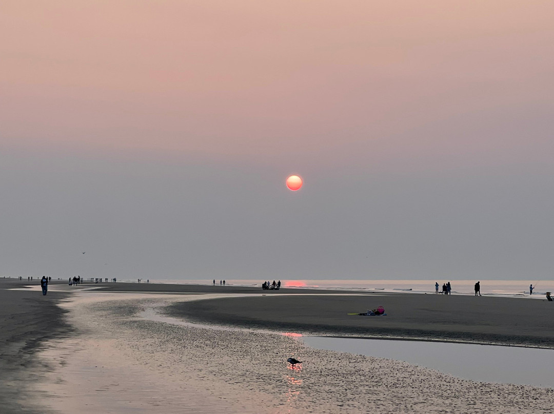 Coligny Beach景点图片