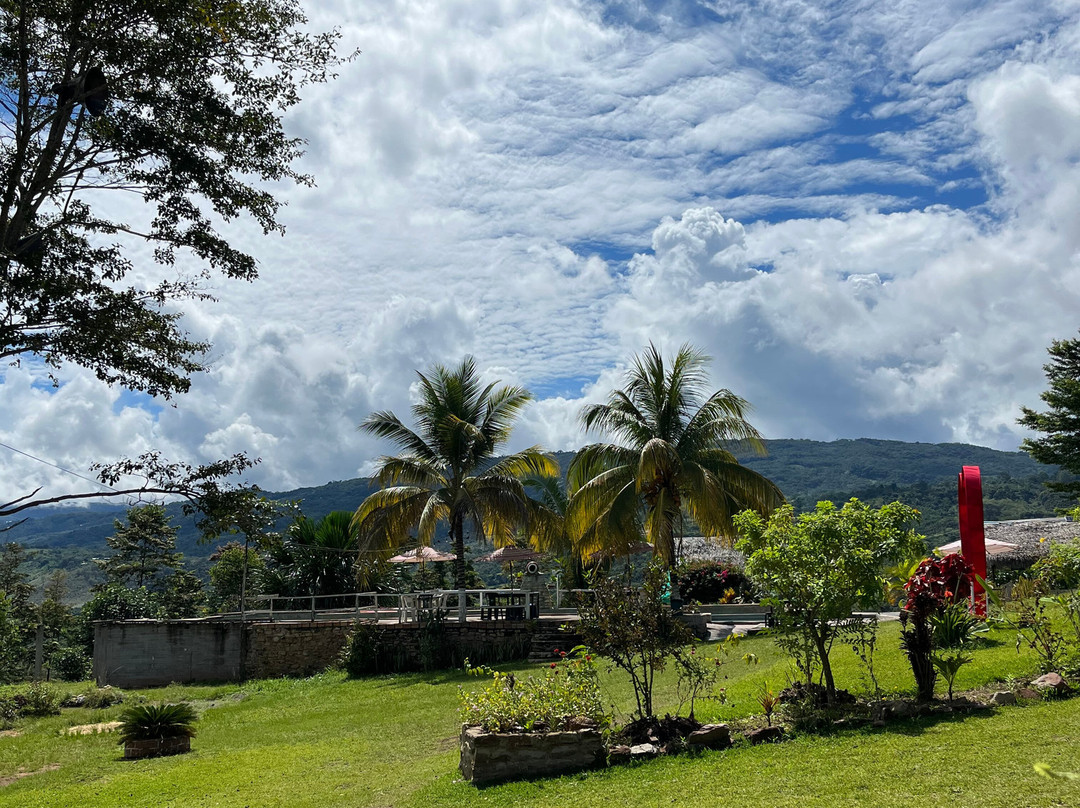 Finca Ecológica Alegria-Lamas必去景点