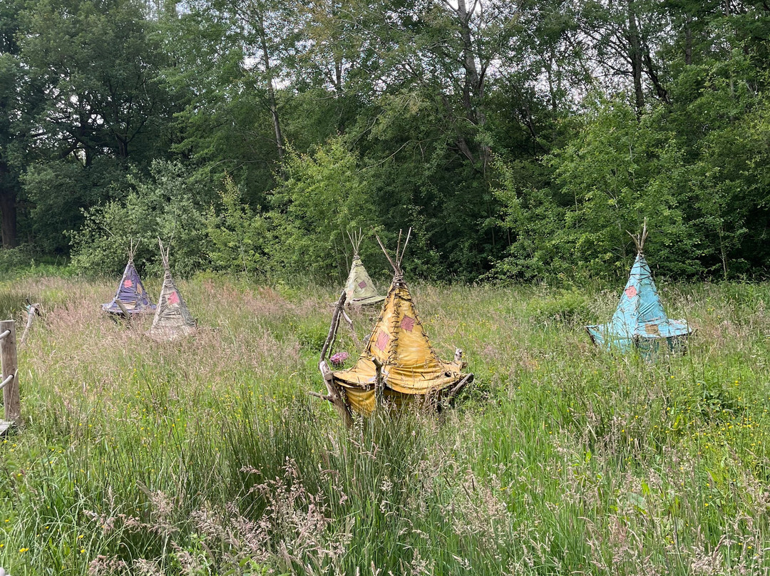 BeWILDerwood Cheshire景点图片