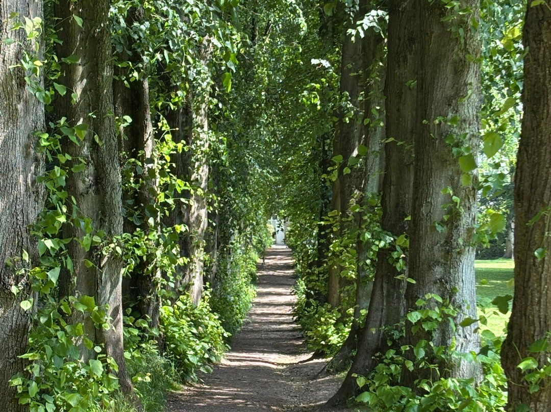 Wentworth Castle Gardens-巴恩斯利必去景点