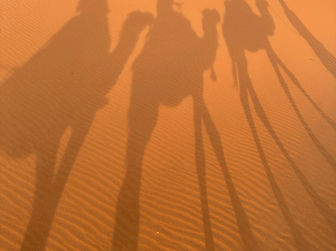 Seekers Travel Morocco-瓦尔扎扎特必去景点