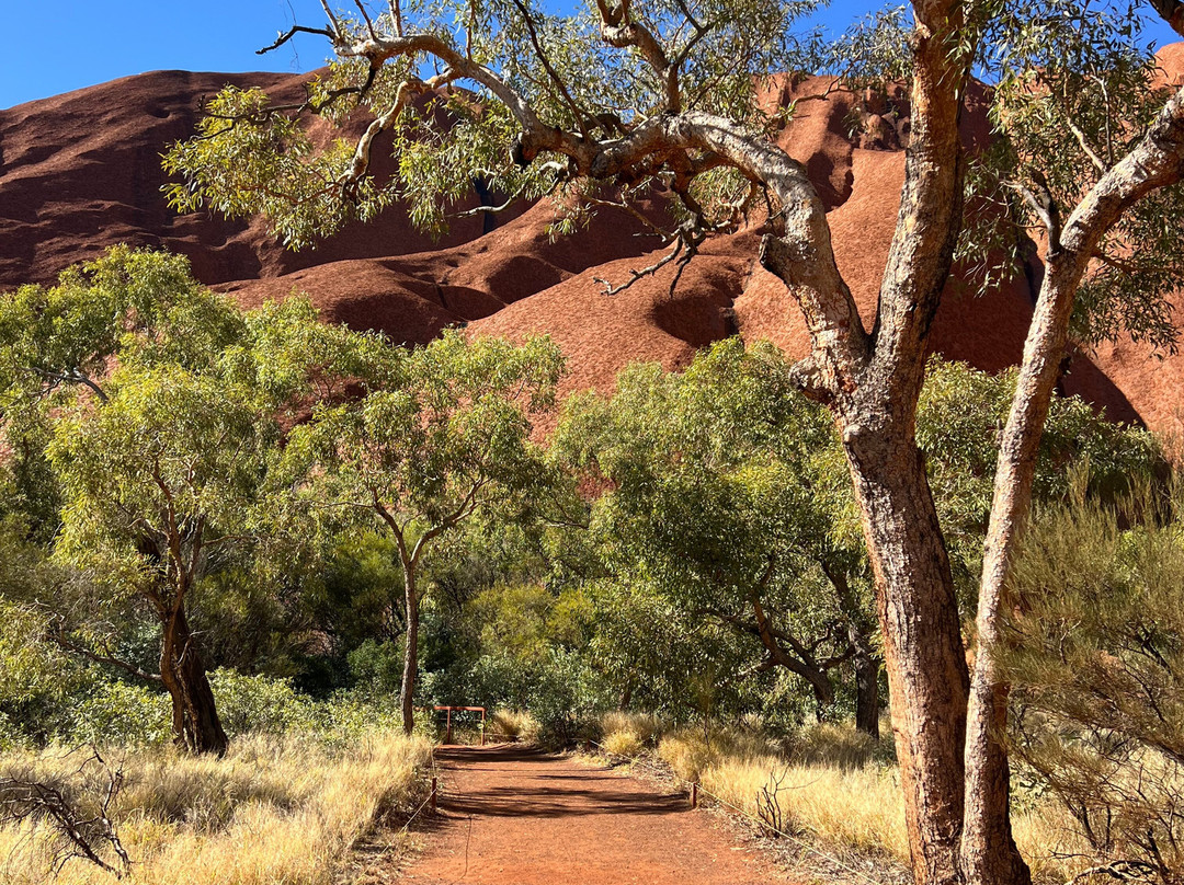 Malpa Tours-尤拉拉必去景点