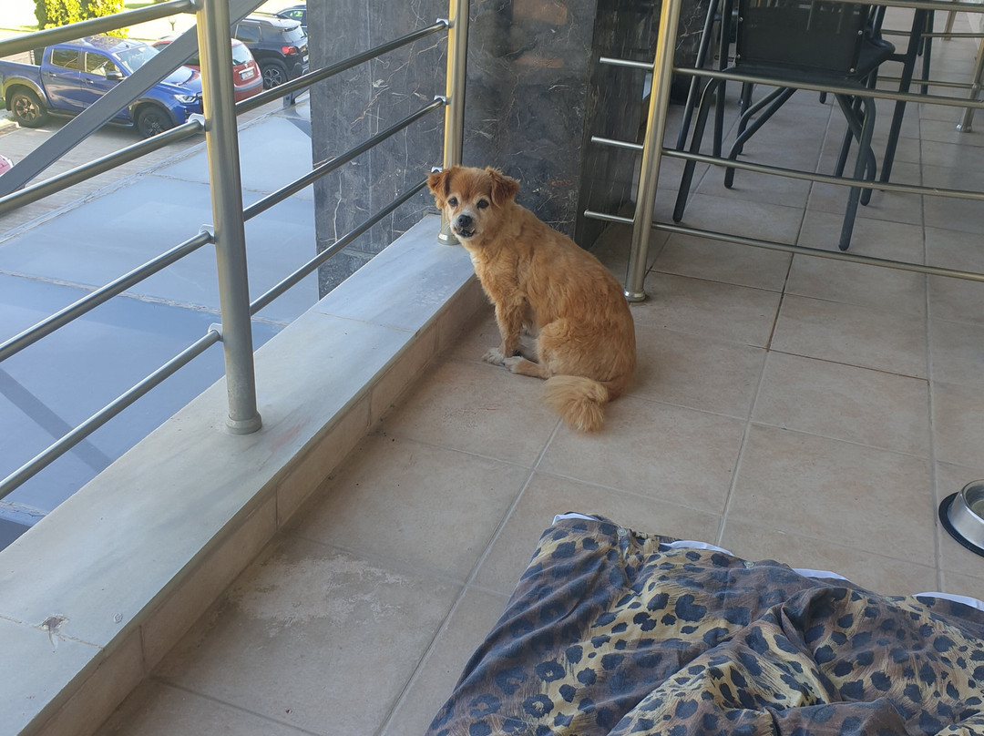 Kristonia Hotel Suites主图