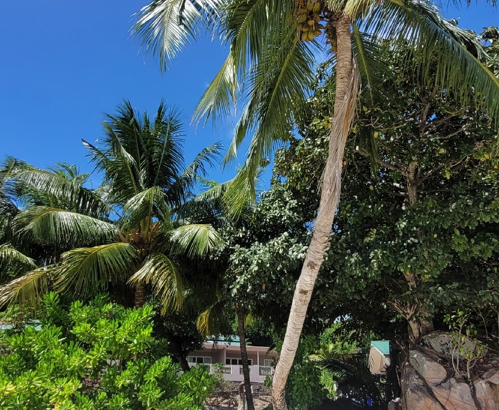 Praslin Pro Divers-普拉兰岛必去景点