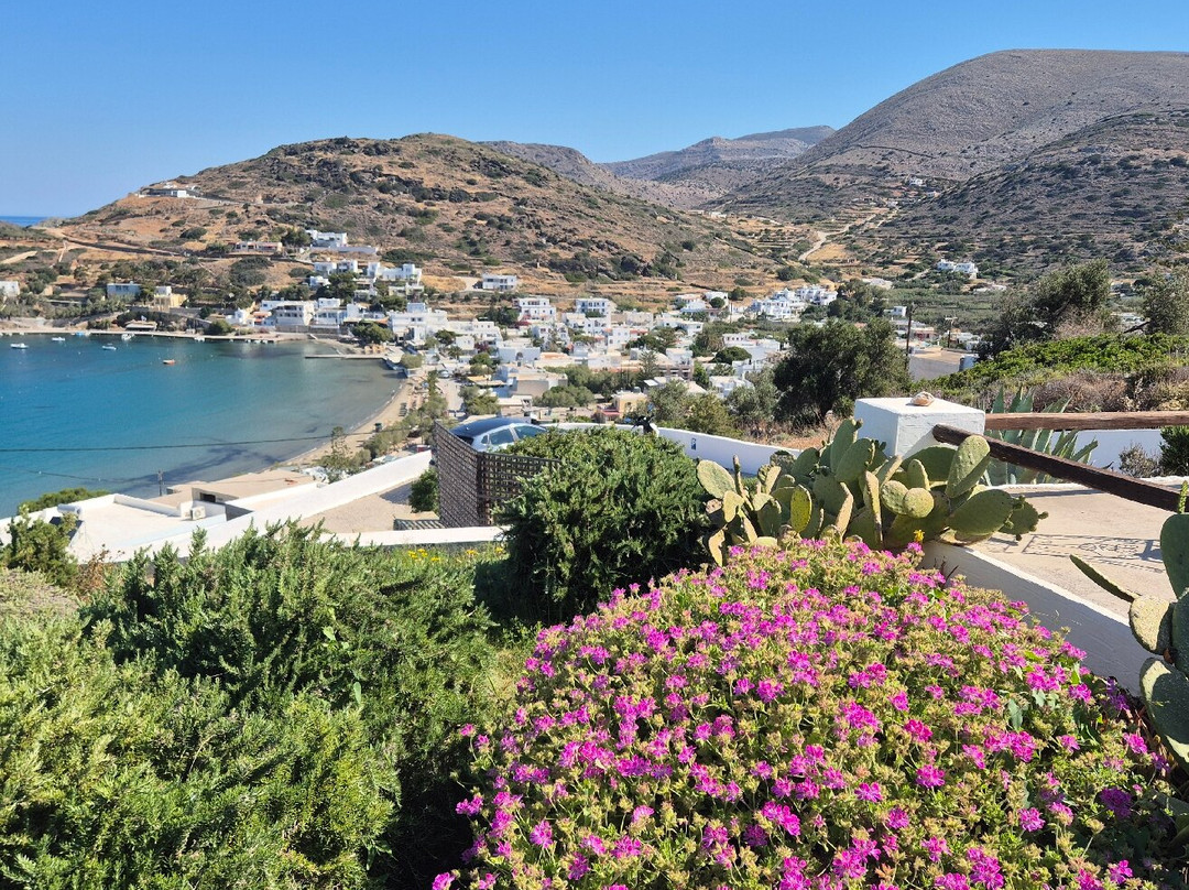 Pino Di Loto Boutique Bed And Breakfast主图