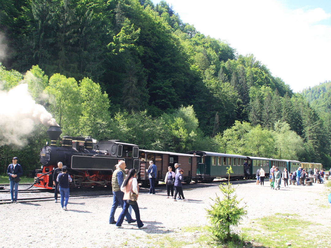 Vaser Valley Forestry Railway - Day Tours-Viseu de Sus必去景点